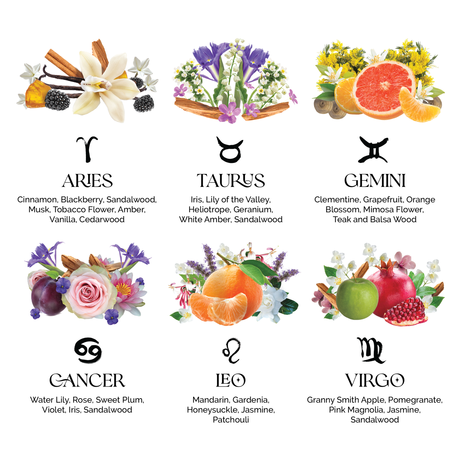 TAURUS TWIST &amp; SPRITZ
